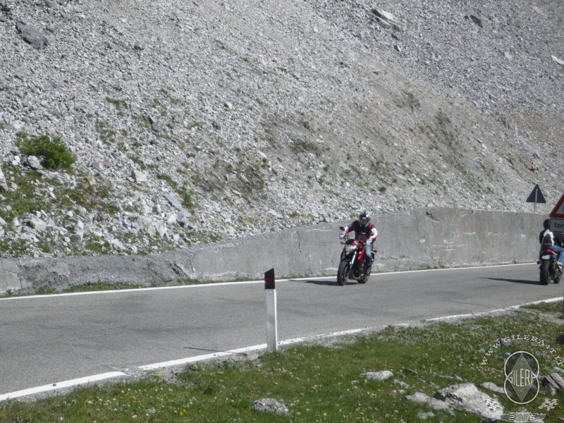 2011 STELVIO